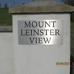 Mount Leinster View
