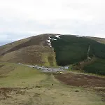 Mount Leinster View