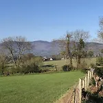 Mount Leinster View