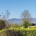 Feriehus Mount Leinster View