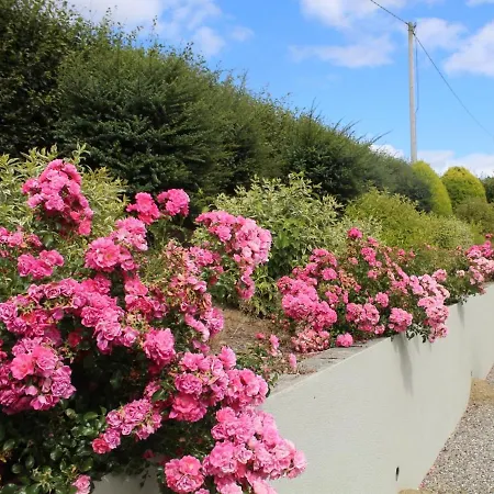 Mount Leinster View * Bunclody