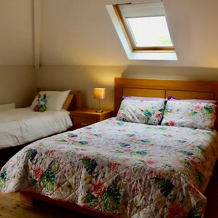 Mount Leinster View Nyaraló Bunclody