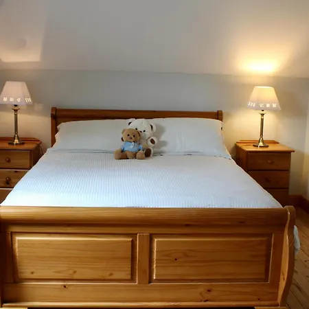 Nyaraló Mount Leinster View *