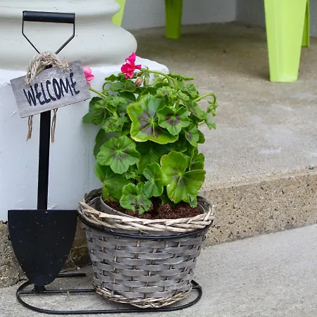 Mount Leinster View 度假居 *