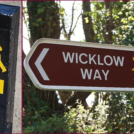 Mount Leinster View * Bunclody