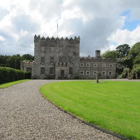 度假居 Mount Leinster View