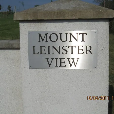 Mount Leinster View