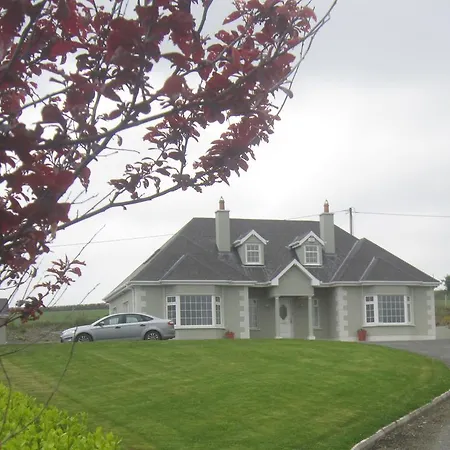 Mount Leinster View Holiday home *