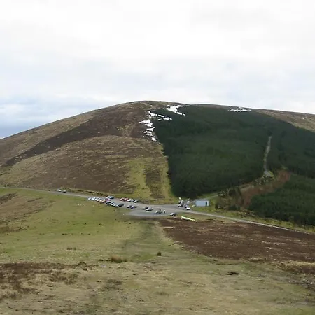 Mount Leinster View