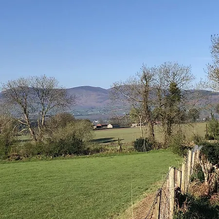Mount Leinster View