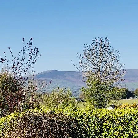 Nyaraló Mount Leinster View