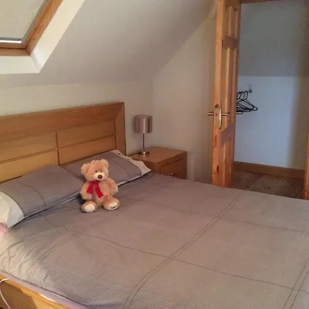 Nyaraló Mount Leinster View