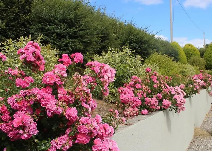Mount Leinster View * Bunclody
