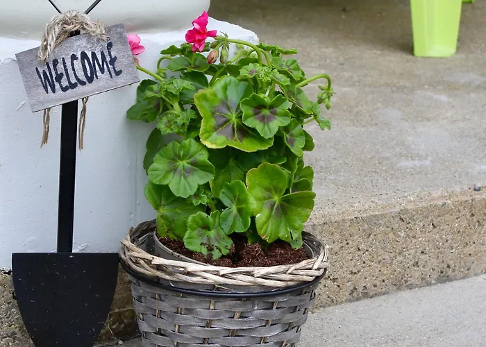Mount Leinster View Holiday home *