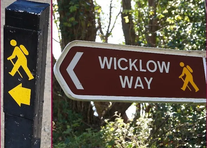 Mount Leinster View * Bunclody