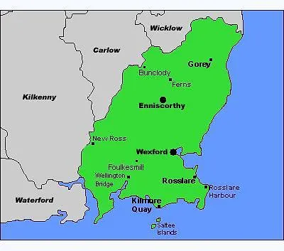Mount Leinster View Holiday home *