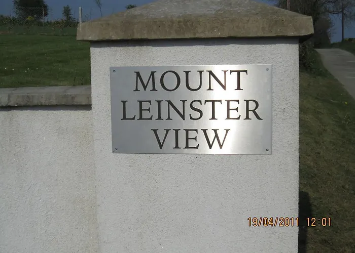 Mount Leinster View