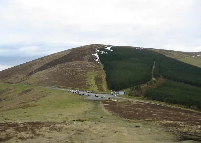 Mount Leinster View