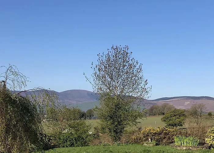 Mount Leinster View Dom wakacyjny *