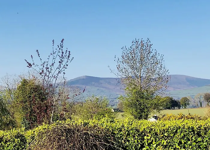 Holiday home Mount Leinster View