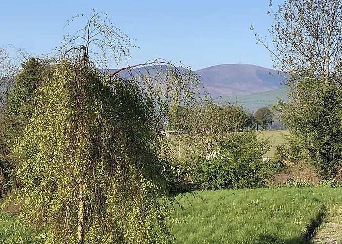 Mount Leinster View Holiday home *
