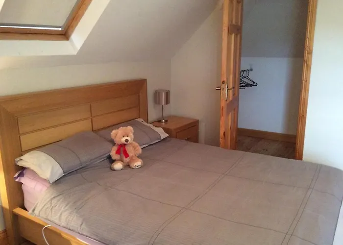 Holiday home Mount Leinster View